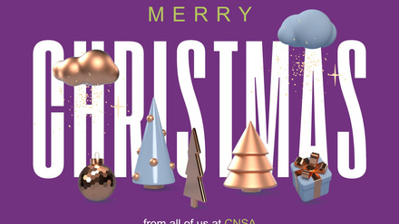 CNSA Animated Christmas eCard.jpg